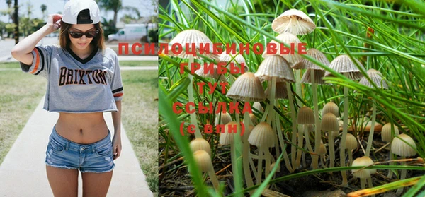 амф Мегион